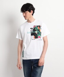 TAKEO KIKUCHI | 【Sサイズ～】マルチフォトプリントTシャツ(Tシャツ/カットソー)