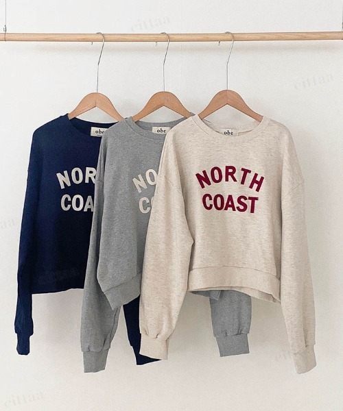 Dalfwin（ダールフィン）の「COASTエンブレムロゴドルマンスリーブスウェット（スウェット・レディース・ネイビー/ライトベージュ/グレー・FREE）」の19枚目の写真