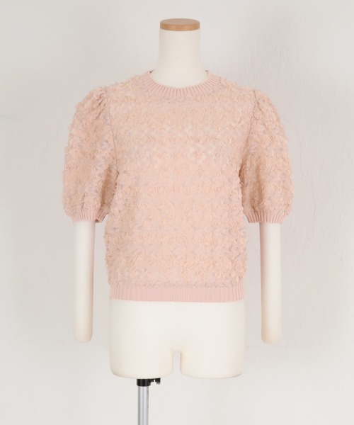 titivate（ティティベイト）の「シアーフリルレースプルオーバー（Tシャツ/カットソー・レディース・アイボリー/ブラック/ピンク・FREE）」の21枚目の写真