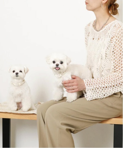 moncheri（モンシェリ）の「エコひんやりくまさん柄ネックリング【愛犬ちゃん用】XSサイズ（リード/ハーネス/首輪・レディース・ベージュ・XS）」の11枚目の写真