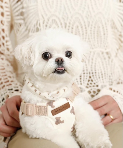 moncheri（モンシェリ）の「エコひんやりくまさん柄ネックリング【愛犬ちゃん用】XSサイズ（リード/ハーネス/首輪・レディース・ベージュ・XS）」の8枚目の写真