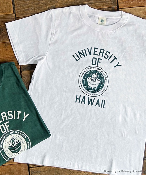 FUNALIVE(ファンアライブ)の「HAWAII 半袖Tシャツ(Tシャツ/カットソー・メンズ・グリーン/ホワイト・XL/M/L)」の1枚目の写真