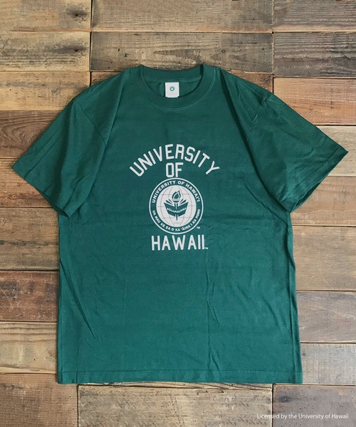 FUNALIVE(ファンアライブ)の「HAWAII 半袖Tシャツ(Tシャツ/カットソー・メンズ・グリーン/ホワイト・XL/M/L)」の7枚目の写真