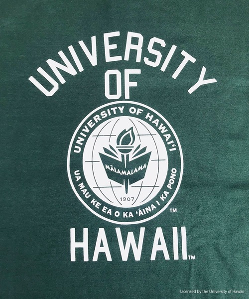 FUNALIVE(ファンアライブ)の「HAWAII 半袖Tシャツ(Tシャツ/カットソー・メンズ・グリーン/ホワイト・XL/M/L)」の8枚目の写真