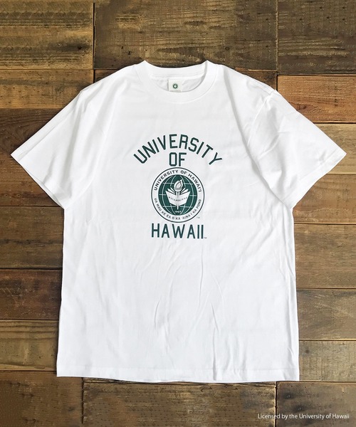 FUNALIVE(ファンアライブ)の「HAWAII 半袖Tシャツ(Tシャツ/カットソー・メンズ・グリーン/ホワイト・XL/M/L)」の5枚目の写真