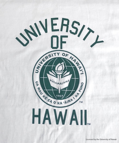 FUNALIVE(ファンアライブ)の「HAWAII 半袖Tシャツ(Tシャツ/カットソー・メンズ・グリーン/ホワイト・XL/M/L)」の6枚目の写真