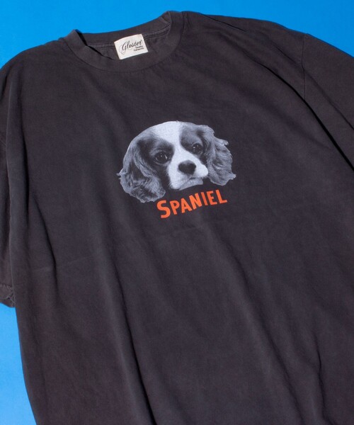 GLOSTER(グロスター)の「【新柄追加】【GLOSTER/グロスター】DOG&CAT 犬猫プリント ピグメント プリントTシャツ(Tシャツ/カットソー・メンズ・ブラック系その他7/ブラック系その他4/ブラック系その他6/ブラック系その他2/ブラック系その他/ブラック系その他3/ブラック系その他5/その他・S/M/L)」の3枚目の写真