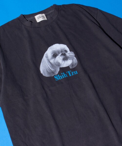 GLOSTER(グロスター)の「【新柄追加】【GLOSTER/グロスター】DOG&CAT 犬猫プリント ピグメント プリントTシャツ(Tシャツ/カットソー・メンズ・ブラック系その他7/ブラック系その他4/ブラック系その他6/ブラック系その他2/ブラック系その他/ブラック系その他3/ブラック系その他5/その他・S/M/L)」の5枚目の写真