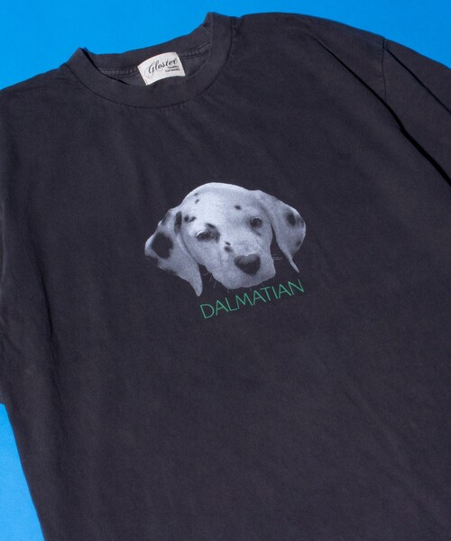 GLOSTER(グロスター)の「【新柄追加】【GLOSTER/グロスター】DOG&CAT 犬猫プリント ピグメント プリントTシャツ(Tシャツ/カットソー・メンズ・ブラック系その他7/ブラック系その他4/ブラック系その他6/ブラック系その他2/ブラック系その他/ブラック系その他3/ブラック系その他5/その他・S/M/L)」の7枚目の写真