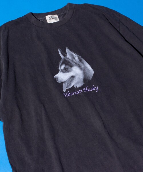 GLOSTER(グロスター)の「【新柄追加】【GLOSTER/グロスター】DOG&CAT 犬猫プリント ピグメント プリントTシャツ(Tシャツ/カットソー・メンズ・ブラック系その他7/ブラック系その他4/ブラック系その他6/ブラック系その他2/ブラック系その他/ブラック系その他3/ブラック系その他5/その他・S/M/L)」の8枚目の写真