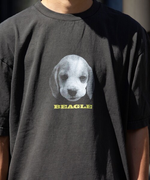 GLOSTER(グロスター)の「【新柄追加】【GLOSTER/グロスター】DOG&CAT 犬猫プリント ピグメント プリントTシャツ(Tシャツ/カットソー・メンズ・ブラック系その他7/ブラック系その他4/ブラック系その他6/ブラック系その他2/ブラック系その他/ブラック系その他3/ブラック系その他5/その他・S/M/L)」の13枚目の写真