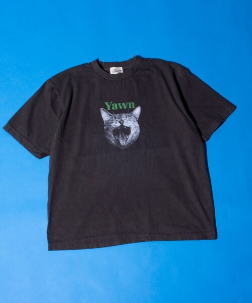 GLOSTER(グロスター)の「【新柄追加】【GLOSTER/グロスター】DOG&CAT 犬猫プリント ピグメント プリントTシャツ(Tシャツ/カットソー・メンズ・ブラック系その他7/ブラック系その他4/ブラック系その他6/ブラック系その他2/ブラック系その他/ブラック系その他3/ブラック系その他5/その他・S/M/L)」の14枚目の写真