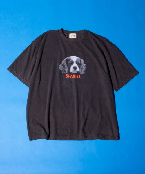 GLOSTER(グロスター)の「【新柄追加】【GLOSTER/グロスター】DOG&CAT 犬猫プリント ピグメント プリントTシャツ(Tシャツ/カットソー・メンズ・ブラック系その他7/ブラック系その他4/ブラック系その他6/ブラック系その他2/ブラック系その他/ブラック系その他3/ブラック系その他5/その他・S/M/L)」の15枚目の写真