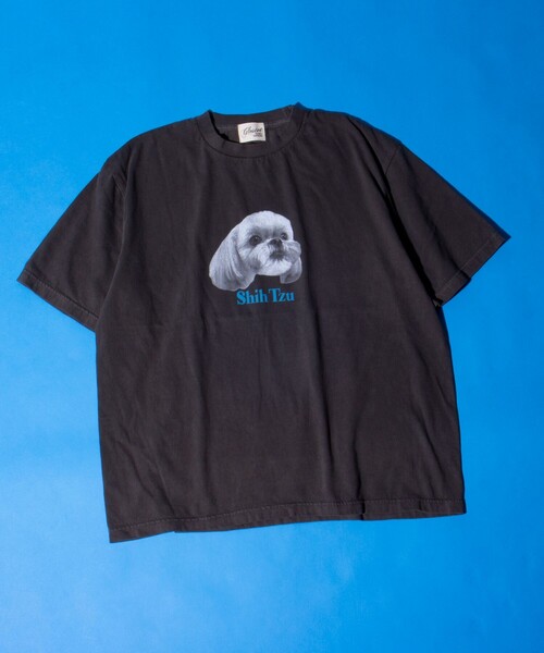 GLOSTER(グロスター)の「【新柄追加】【GLOSTER/グロスター】DOG&CAT 犬猫プリント ピグメント プリントTシャツ(Tシャツ/カットソー・メンズ・ブラック系その他7/ブラック系その他4/ブラック系その他6/ブラック系その他2/ブラック系その他/ブラック系その他3/ブラック系その他5/その他・S/M/L)」の17枚目の写真