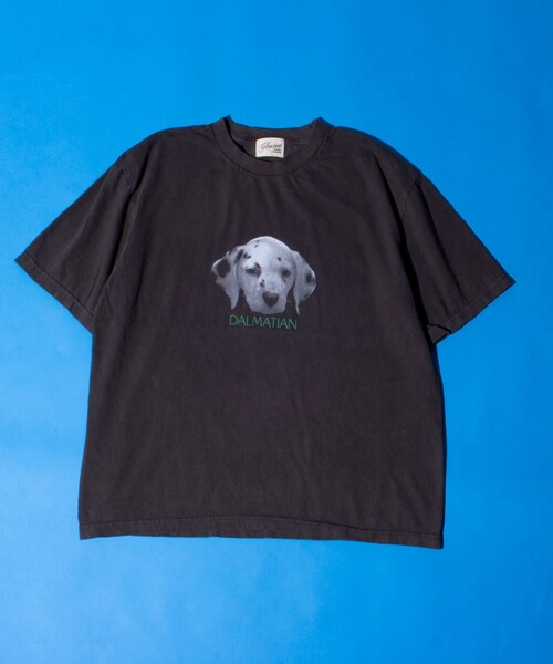 GLOSTER(グロスター)の「【新柄追加】【GLOSTER/グロスター】DOG&CAT 犬猫プリント ピグメント プリントTシャツ(Tシャツ/カットソー・メンズ・ブラック系その他7/ブラック系その他4/ブラック系その他6/ブラック系その他2/ブラック系その他/ブラック系その他3/ブラック系その他5/その他・S/M/L)」の19枚目の写真