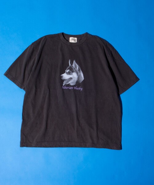 GLOSTER(グロスター)の「【新柄追加】【GLOSTER/グロスター】DOG&CAT 犬猫プリント ピグメント プリントTシャツ(Tシャツ/カットソー・メンズ・ブラック系その他7/ブラック系その他4/ブラック系その他6/ブラック系その他2/ブラック系その他/ブラック系その他3/ブラック系その他5/その他・S/M/L)」の20枚目の写真