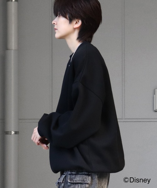 ディズニーシリーズ ワンポイント刺繍 / バックプリント ビッグ