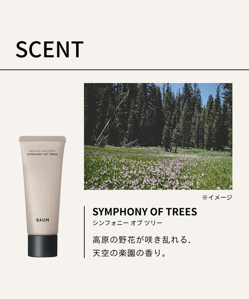 BAUM アロマティック ハンドクリーム n（ハンドケア/ハンド