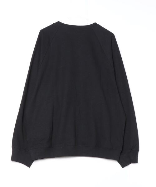 my beautiful landlet】 ECOARCH HEMP JERSEY RAGLAN LONG