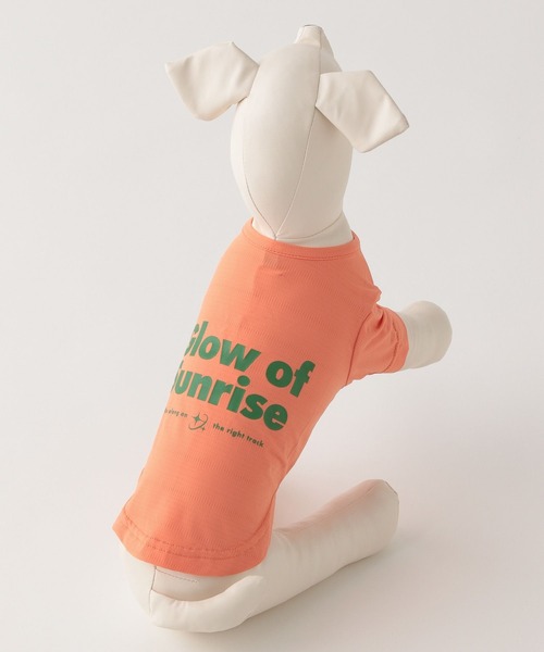 【新品】LEPSIM PETフォトT 猫 セール】猫プリントロンT 150324（Tシャツ/カットソー）｜LEPSIM