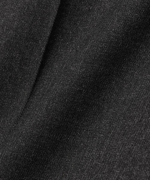 PT TORINO（ピーティートリノ）の「【別注】PT TORINO / EVO-F トラベル 1プリーツ スラックス（スラックス・メンズ・チャコールグレー/グレー・48/46/44/50）」の14枚目の写真