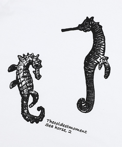 THECOLDESTMOMENT(ザコールデストモーメント)の「TCM sea horse T (white)(Tシャツ/カットソー・レディース・その他・S/M/L/XL)」の2枚目の写真