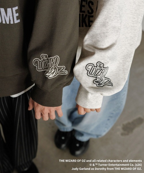 PAGEBOY(ページボーイ)の「《UNISEX》フォトスウェット【PBLIM/オズの魔法使】(スウェット・レディース・グレー/チャコールグレー/ライトブルー・MEDIUM/LARGE)」の13枚目の写真