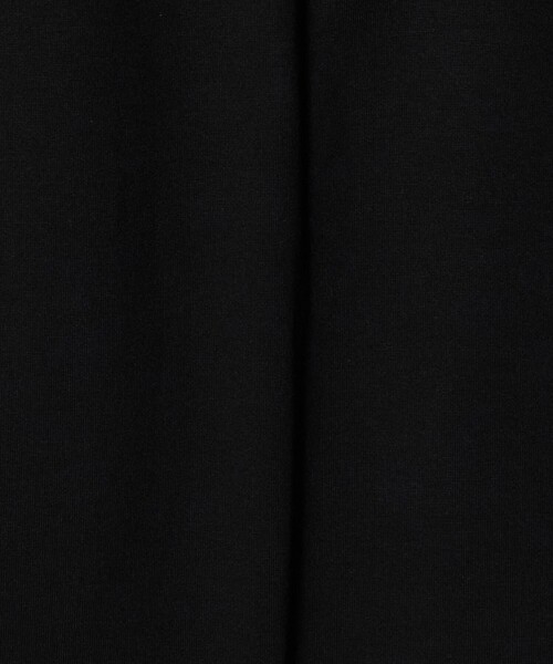 Snow Peak（スノーピーク）の「＜snow peak＞スタンダード ロゴ Tシャツ（Tシャツ/カットソー・メンズ・ベージュ/ブラック/オフホワイト・L/XL/M）」の18枚目の写真