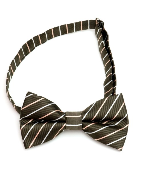 TOKYO SHIRTS（トウキョウシャツ）の「ベーシック蝶ネクタイ（蝶ネクタイ・メンズ・その他2/その他5/その他7/その他8/その他9/その他11/その他13/その他4/その他12/その他3/その他10/その他1/その他6/その他14・FREE）」の10枚目の写真