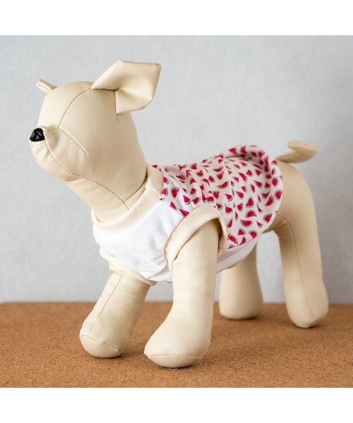 muumdog】犬服 スイカのクールクロスニット UVカット率約90％(SU