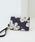 PAUL & JOE ACCESSOIRESi|[AhW[ANZ\j́uyPAUL & JOE ACCESSOIRES /|[ Ah W[ ANZ\ z NUe[Evg 2ʃpXP[XipXP[XjvblCr[