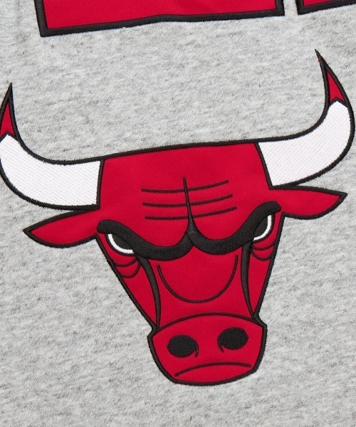 Mitchell&Ness(ミッチェル&ネス)の「Mitchell & Ness NBA FULL FIELD SATIN FLEECE CREW VINTAGE LOGO(ミッチェル&ネス NBA フルフィールド サテン フリース クルー ヴィンテージロゴ)(スウェット・メンズ・グレー系1/グレー系2・LARGE/MEDIUM/X-LARGE)」の4枚目の写真