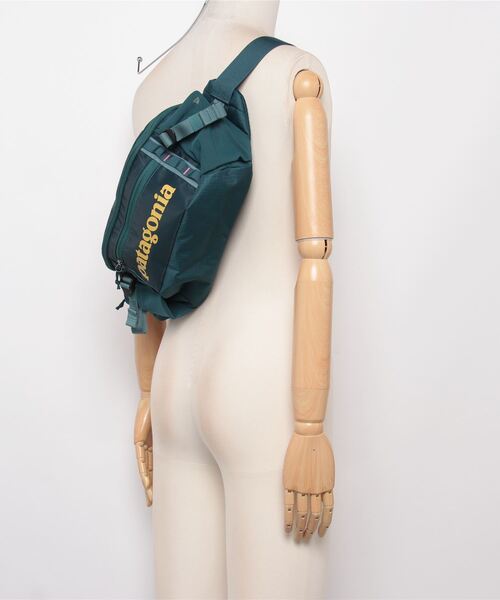 Patagonia/パタゴニア】BLACK HOLE WAIST PACK /ブラックホール