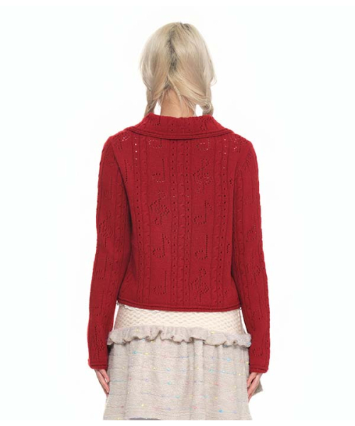 youthbath(ユースバース)の「Lace-Up Shawl Collar Cardigan_red(カーディガン/ボレロ・レディース・その他・SMALL/MEDIUM)」の6枚目の写真