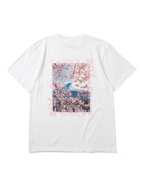 MFC STORE（エムエフシーストア）の「RK × MFC STORE Mt. Fuji / SAKURA S/S TEE（Tシャツ/カットソー・メンズ・ブラック/ネイビー/ホワイト・S/M/L/XL/XXL）」の11枚目の写真