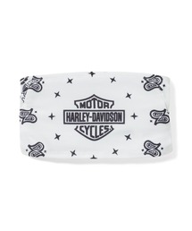 Harley-Davidson(n[[_rbh\)̃o[V[hwbhoh(o_i/XJ[t)