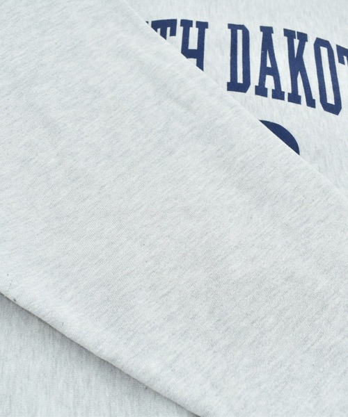 LABORATORY R（ラボラトリーアール）の「【USED】Y2K Champion “SOUTH DAKOTA STATE” リバースウィーブ スウェット（スウェット・メンズ・グレー・X-LARGE）」の3枚目の写真