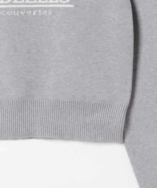 Heather（ヘザー）の「フロントロゴニット　292250（ニット/セーター・レディース・アイボリー/ミント/グレー・FREE）」の16枚目の写真