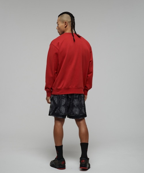 【NIKE】JORDAN ESSENTIALS クルーネック スウェットシャツ NIKE公式】ジョーダン エッセンシャル メンズ クルーネック
