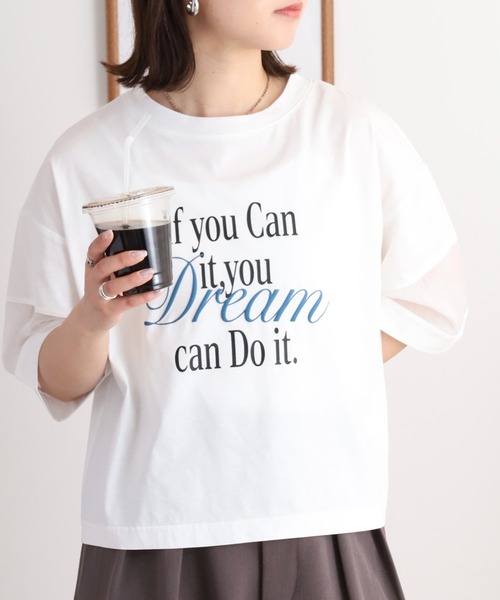EGLANTINE(エグランティーヌ)の「EGLANTINE オーガンジー切替5分袖ロゴカットソー(Tシャツ/カットソー・レディース・ブラック/オフホワイト/グリーン/ピンク・40)」の1枚目の写真