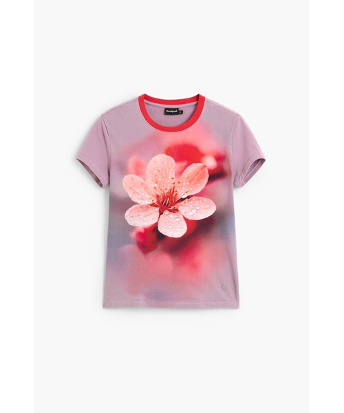 Desigual(デシグアル)の「桜フォトプリントリンガーTシャツ(Tシャツ/カットソー・レディース・レッド・XS/S/M/L/XL)」の3枚目の写真