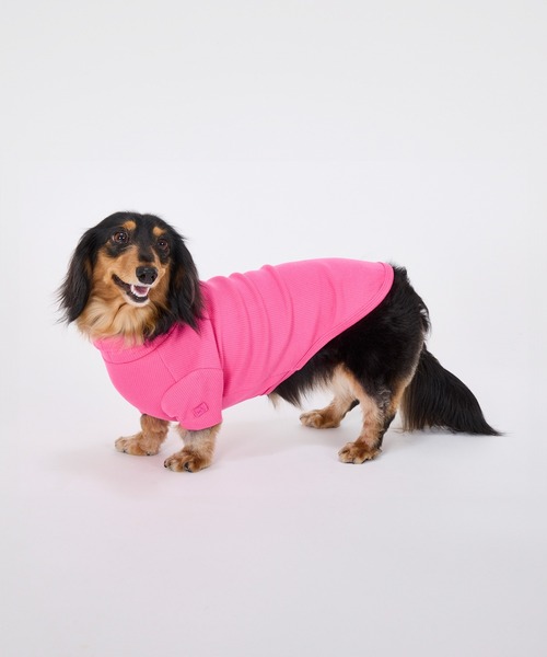セール】ベーシックリブTシャツ/小型犬（ペットウェア）｜MANDARINE