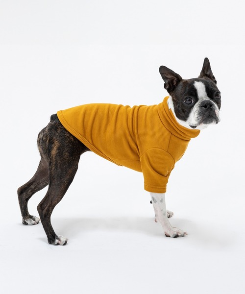 MANDARINE BROTHERS（マンダリンブラザーズ）の「ベーシックリブTシャツ/小型犬（ペットウェア・レディース・レッド/マスタード/グレー・M/MD/L）」の2枚目の写真