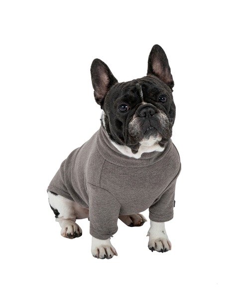 MANDARINE BROTHERS（マンダリンブラザーズ）の「ベーシックリブTシャツ/小型犬（ペットウェア・レディース・レッド/マスタード/グレー・M/MD/L）」の11枚目の写真