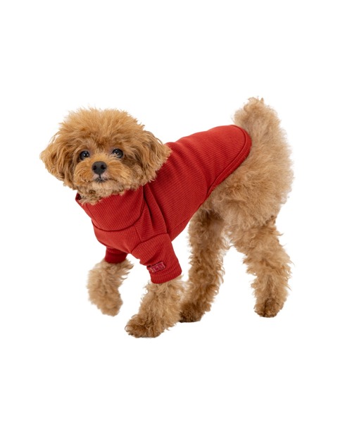 MANDARINE BROTHERS（マンダリンブラザーズ）の「ベーシックリブTシャツ/小型犬（ペットウェア・レディース・レッド/マスタード/グレー・M/MD/L）」の4枚目の写真