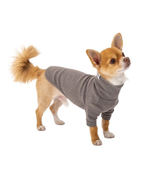 MANDARINE BROTHERS（マンダリンブラザーズ）の「ベーシックリブTシャツ/小型犬（ペットウェア・レディース・レッド/マスタード/グレー・M/MD/L）」の5枚目の写真