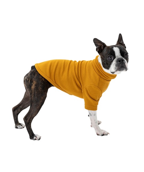 MANDARINE BROTHERS（マンダリンブラザーズ）の「ベーシックリブTシャツ/小型犬（ペットウェア・レディース・レッド/マスタード/グレー・M/MD/L）」の7枚目の写真