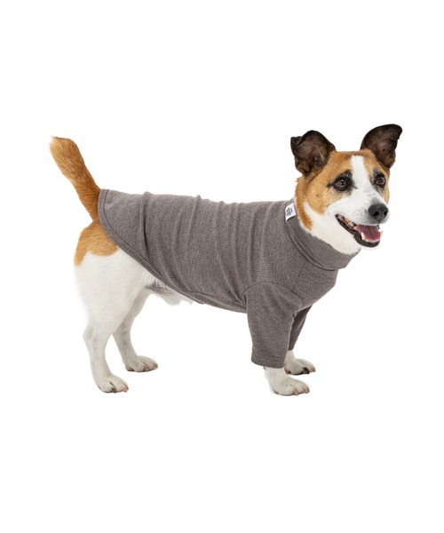 MANDARINE BROTHERS（マンダリンブラザーズ）の「ベーシックリブTシャツ/小型犬（ペットウェア・レディース・レッド/マスタード/グレー・M/MD/L）」の9枚目の写真