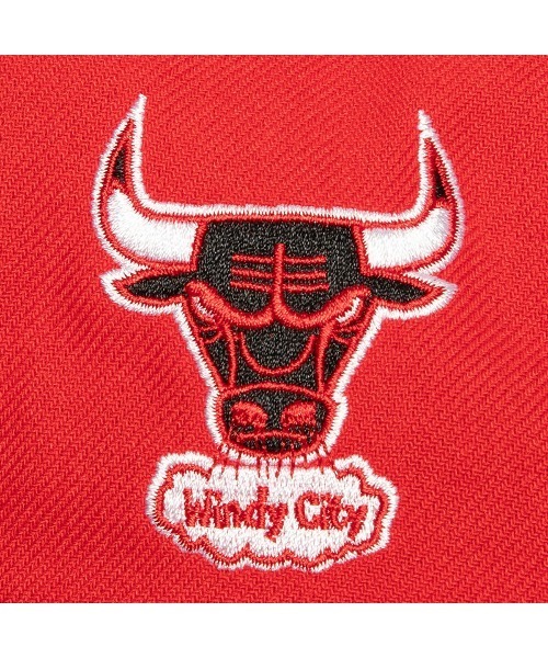 Mitchell&Ness(ミッチェル&ネス)の「Mitchell & Ness NBA TEAM SCRIPT 2.0 PRO SNAPBACK(ミッチェル&ネス NBA チーム スクリプト 2.0 プロ スナップバック)(キャップ・メンズ・パープル系/レッド系・FREE)」の7枚目の写真