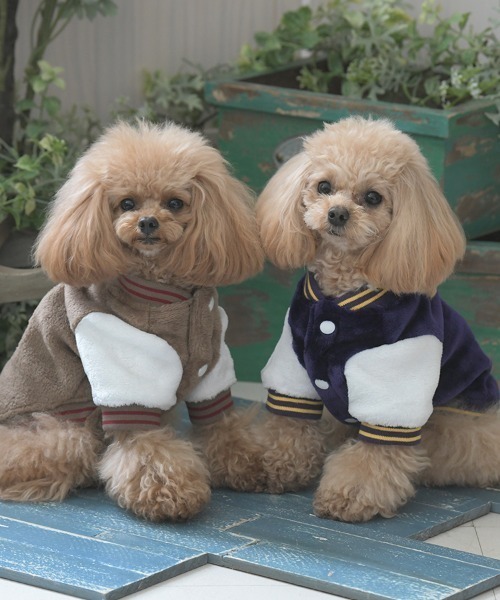 XLARGE（エクストララージ）の「XLARGE/OGボアスタジャン（ペットウェア・メンズ・パープル/ベージュ・XS/S/M/L/2L/3L）」の16枚目の写真